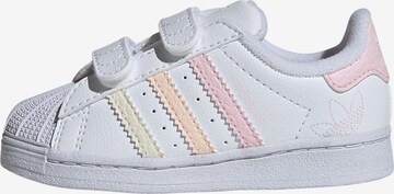 ADIDAS ORIGINALS Sneakers ' Superstar  ' in Wit: voorkant