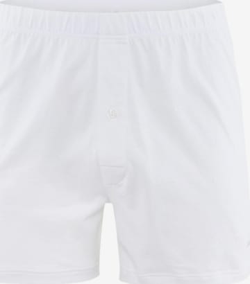 CALIDA Boxer shorts 'Cotton Code' in White: front