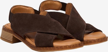 Desa Sandals 'Sandalen mit gekreuzten Riemen' in Brown: front