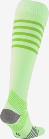 PUMA Soccer Socks in Green