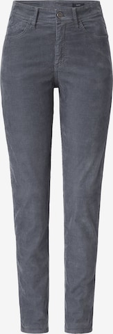 PADDOCKS Regular Pants in Blue: front