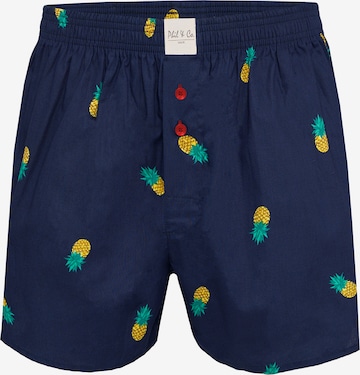 Phil & Co. Berlin Boxer ' Prints ' in Mischfarben