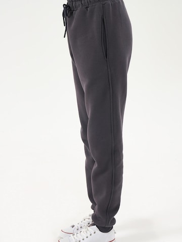LOUIS LECLER Slim fit Pants 'Sasha' in Grey