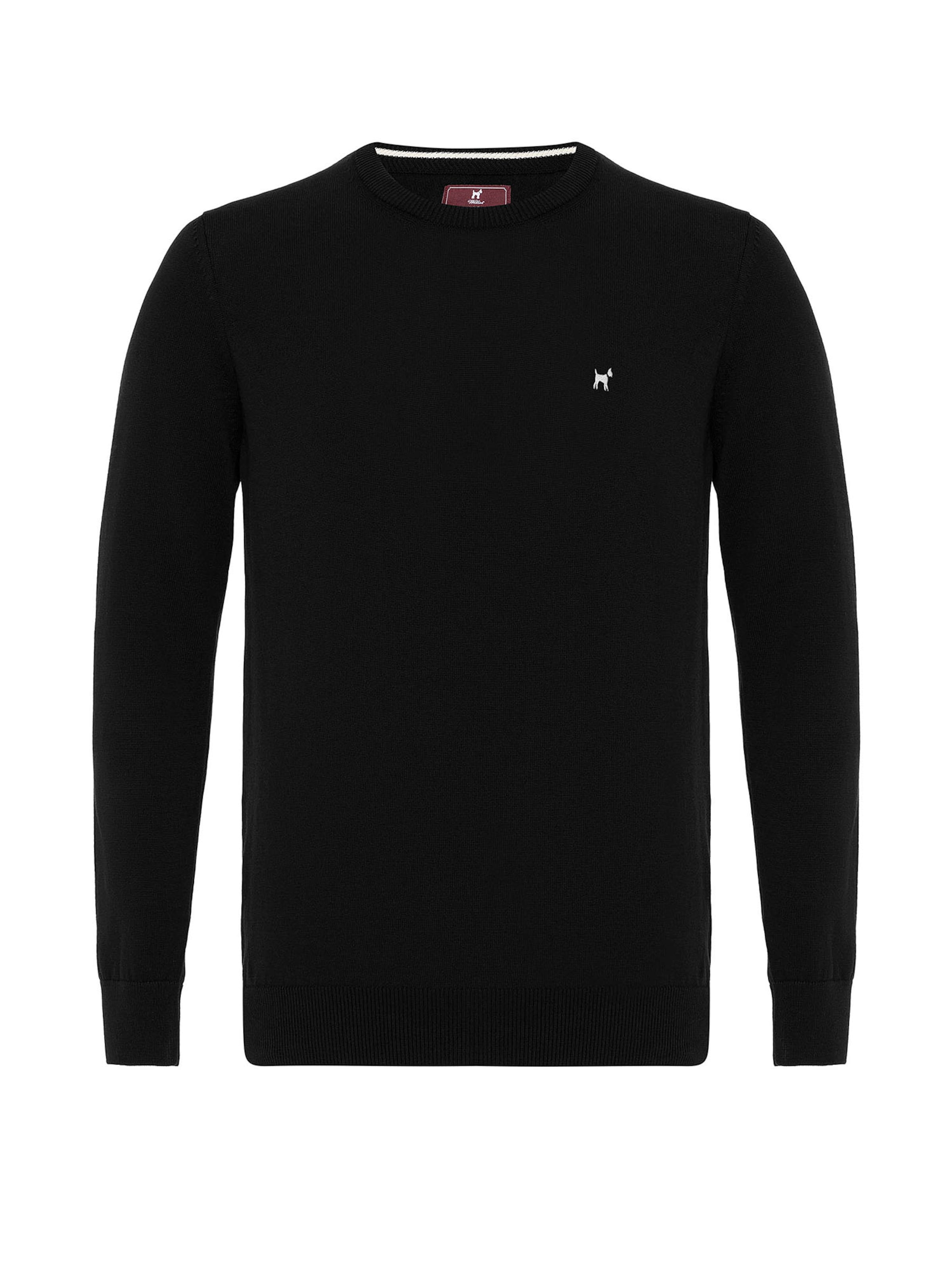 Williot Sweater in Black: front
