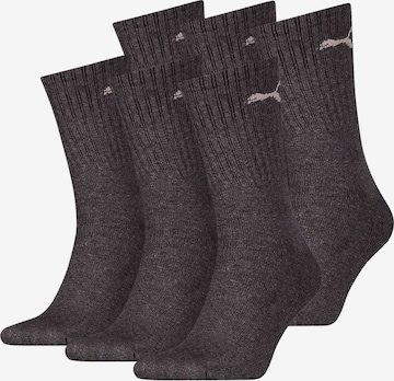 Chaussettes de sport PUMA en gris : devant