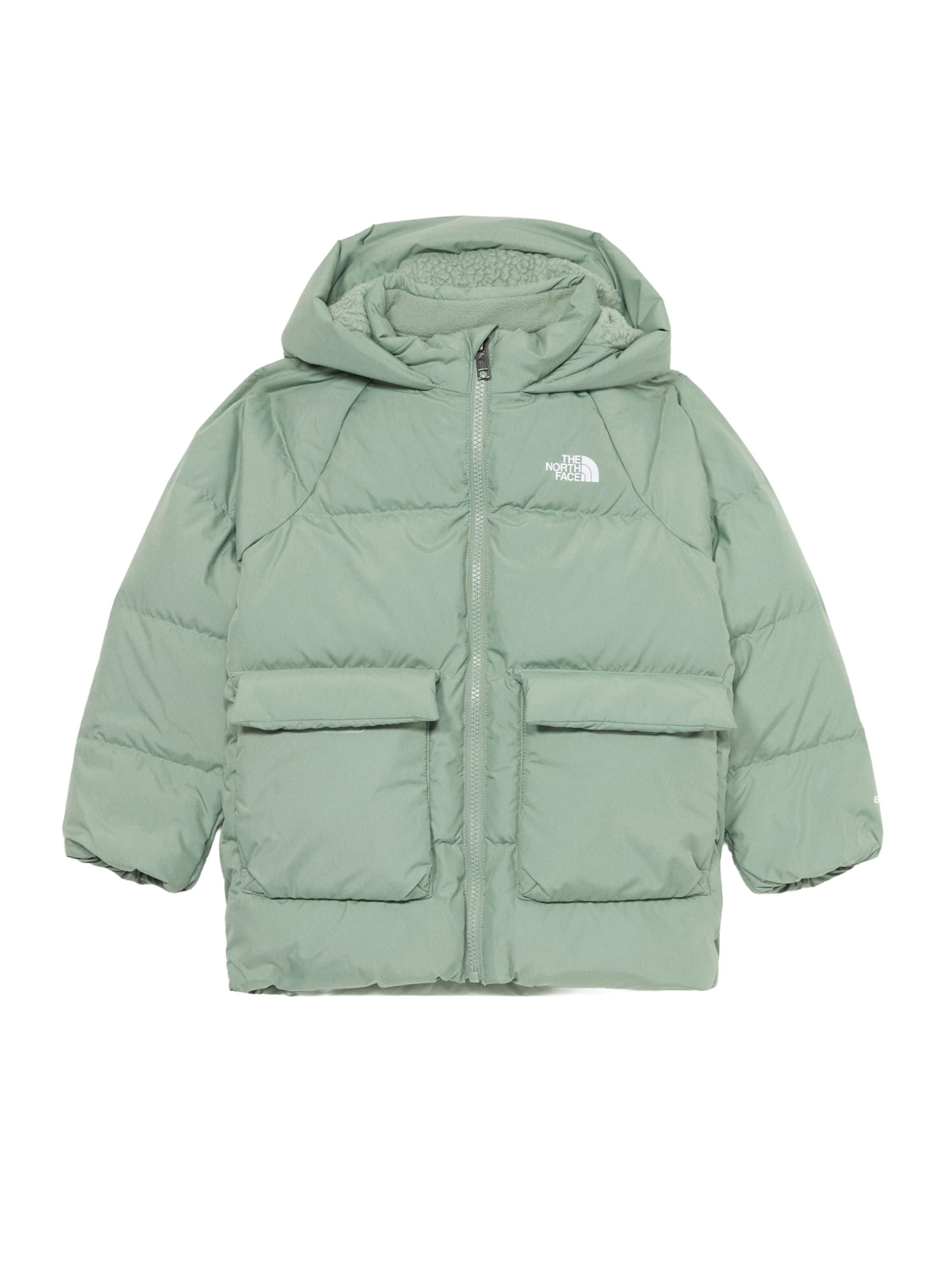 Giacca per outdoor di THE NORTH FACE in verde: frontale