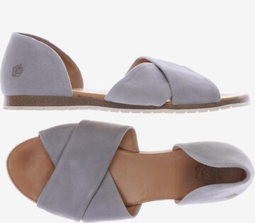 Apple of Eden Sandals & High-Heeled Sandals in 41 in Grey: front