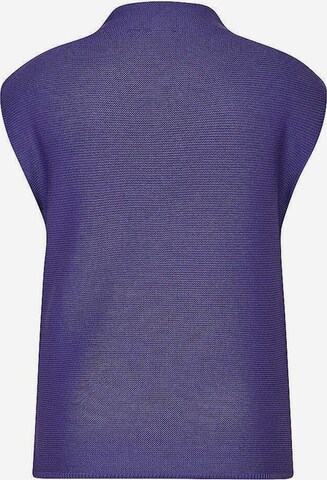 Rabe Sweater in Purple
