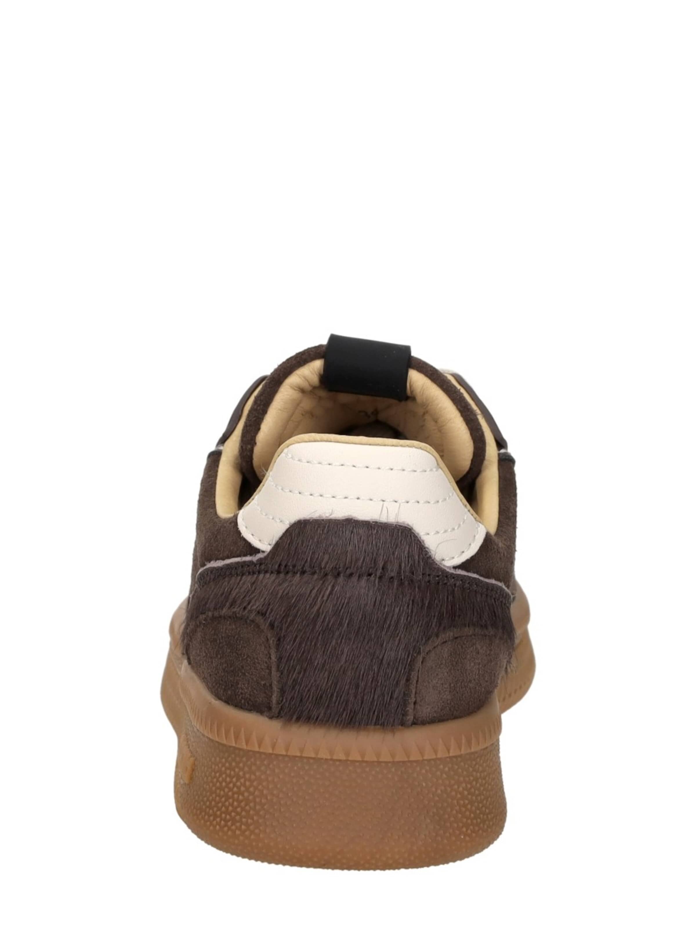 MARUTI Sneakers laag 'Yale Emboidery' in Bruin