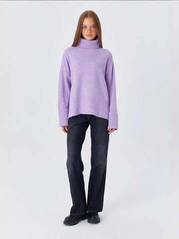 MixRay Sweater in Purple
