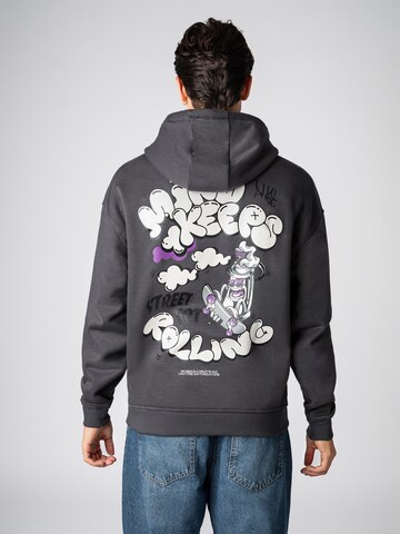 Sublevel Sweatshirt in Grijs