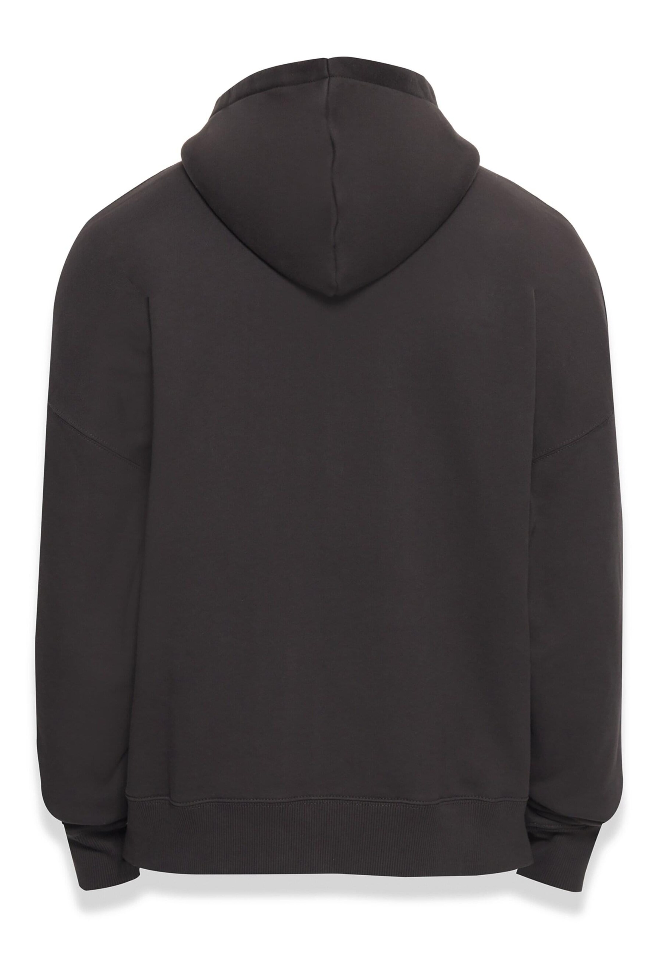 Dropsize - Sudadera con cremallera 'Bazix Republiq' en negro