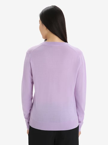 ICEBREAKER Sports sweater 'Wilcox' in Purple