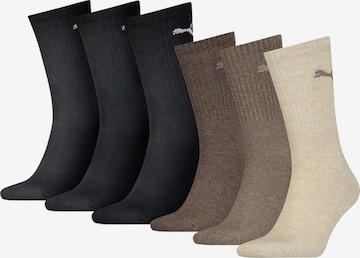 PUMA Socks in Mixed colors: front