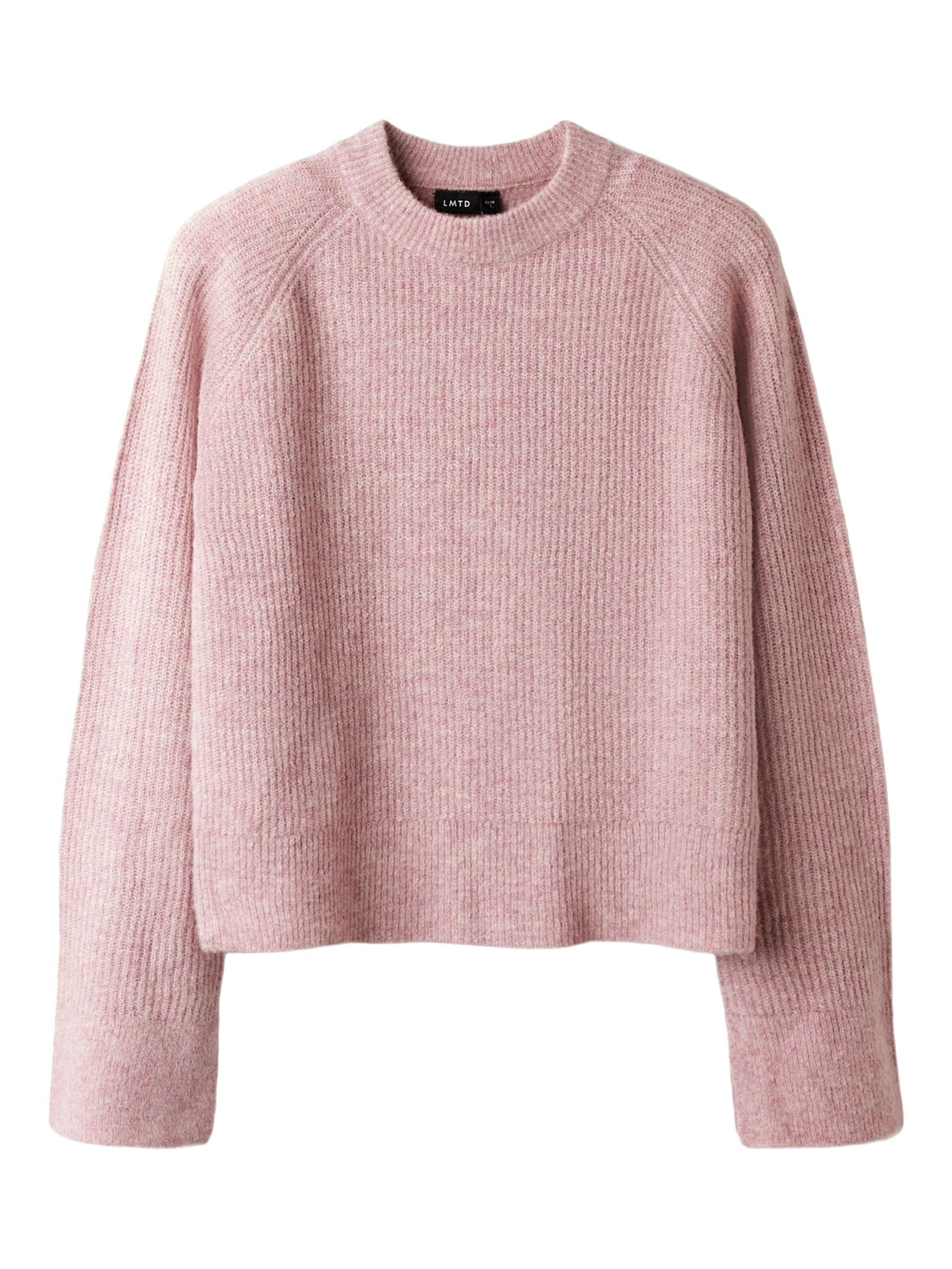 LMTD Sweater in Purple: front