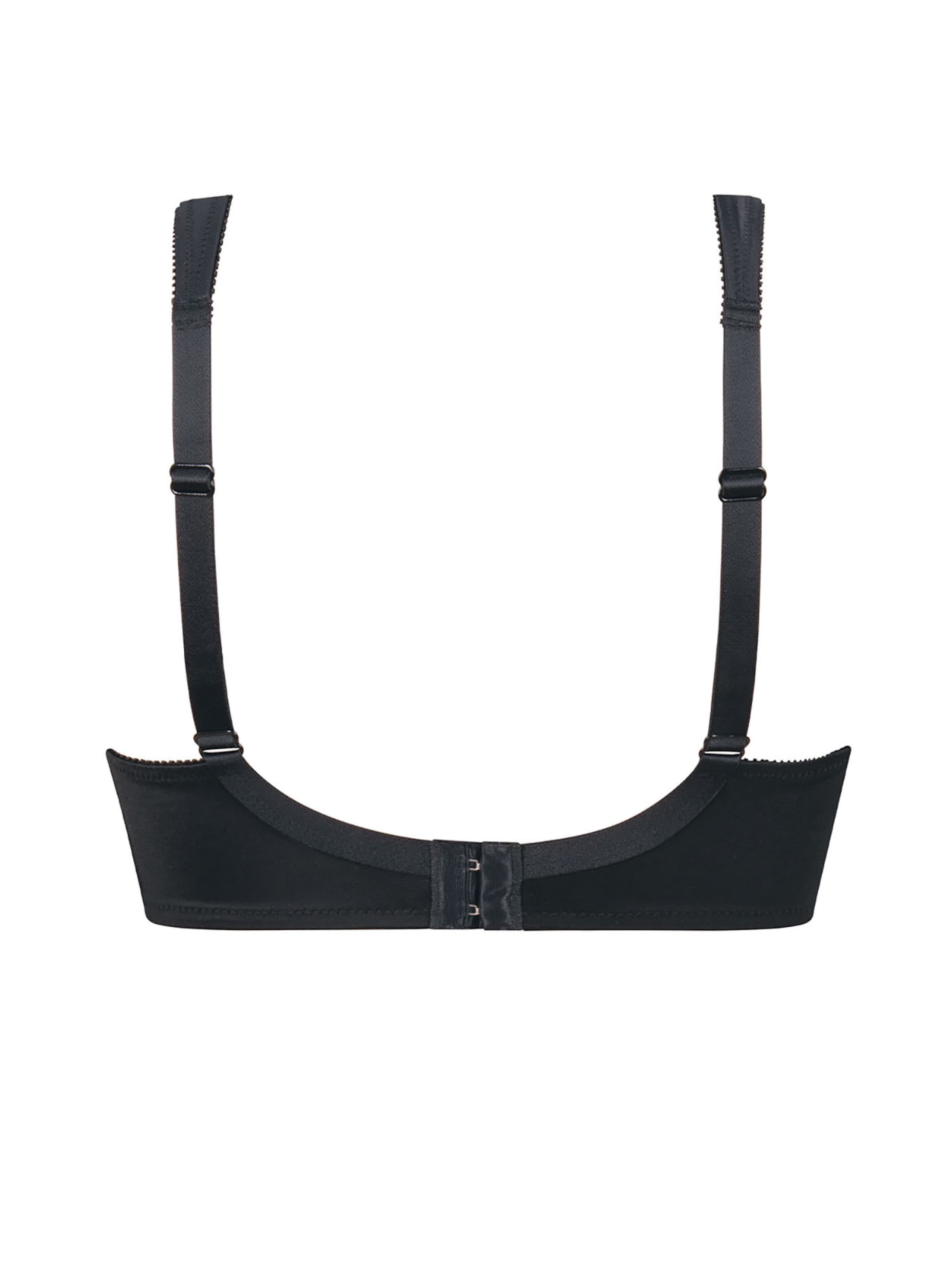 ANITA Minimiser Bra 'Lisa' in Black