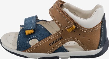 GEOX Sandals & Slippers 'TAPUZ' in Blue
