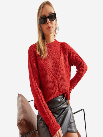 Bianco Lucci Pulover 'Pullover' | rdeča barva: sprednja stran