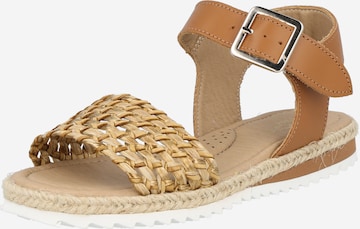 CLARYS Sandal 'NIÑA' in Brown: front