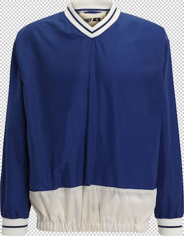 DEF Pullover in Blau: Vorderseite