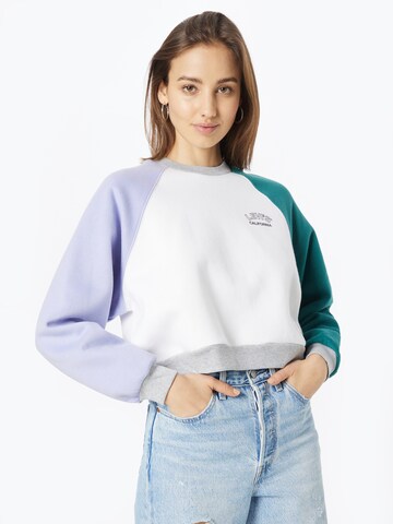 LEVI'S ® Sweatshirt 'Vintage Raglan Crewneck Sweatshirt' in Mischfarben: predná strana