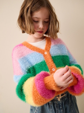 Next Strickjacke in Mischfarben