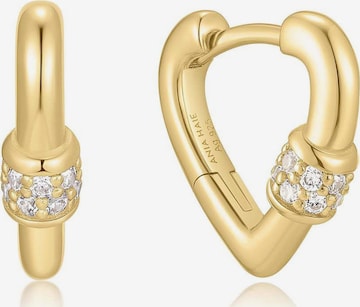 ANIA HAIE Ohrringe in Gold: Vorderseite