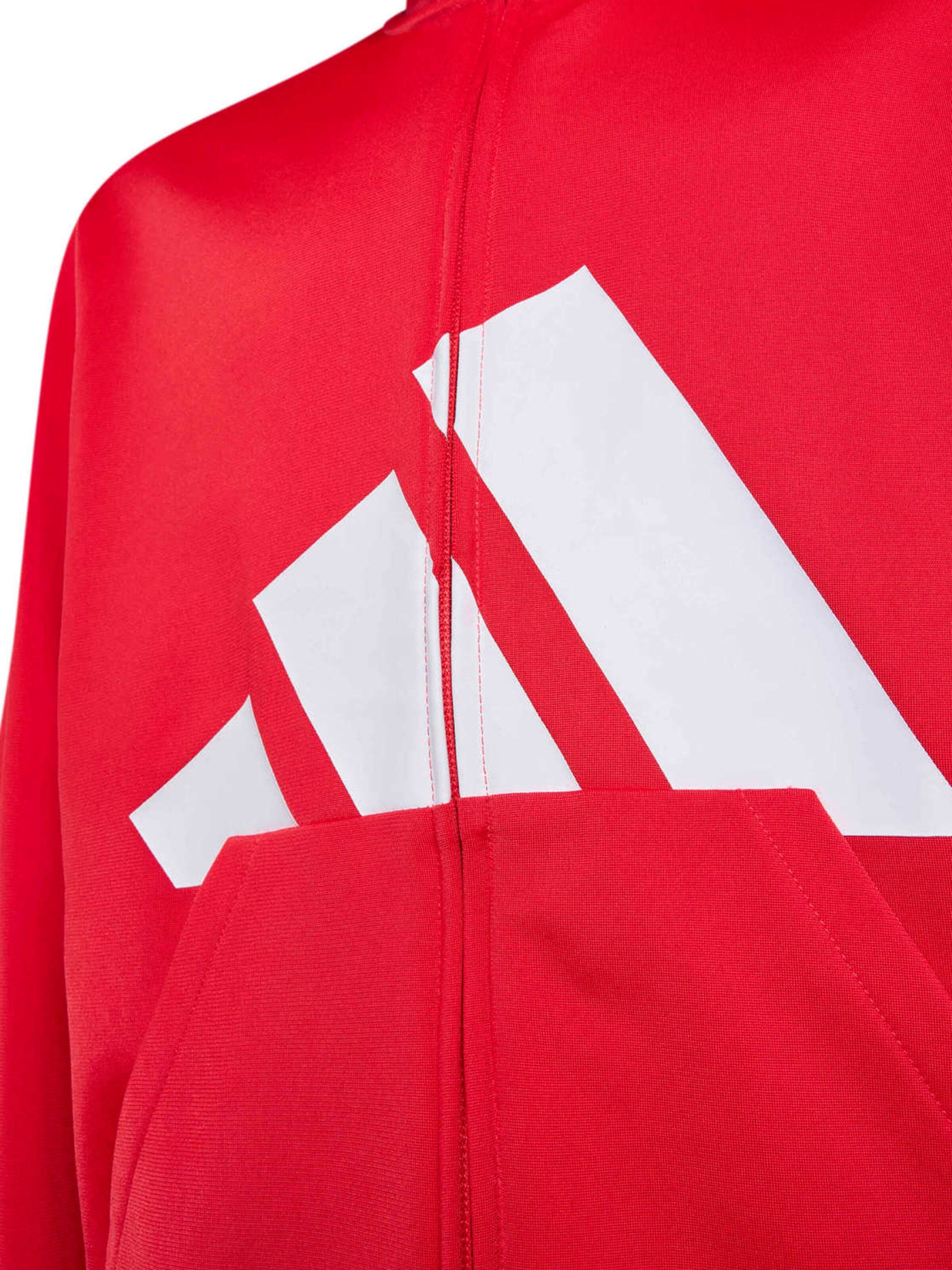 ADIDAS SPORTSWEAR Tréningruha 'Essentials' - piros