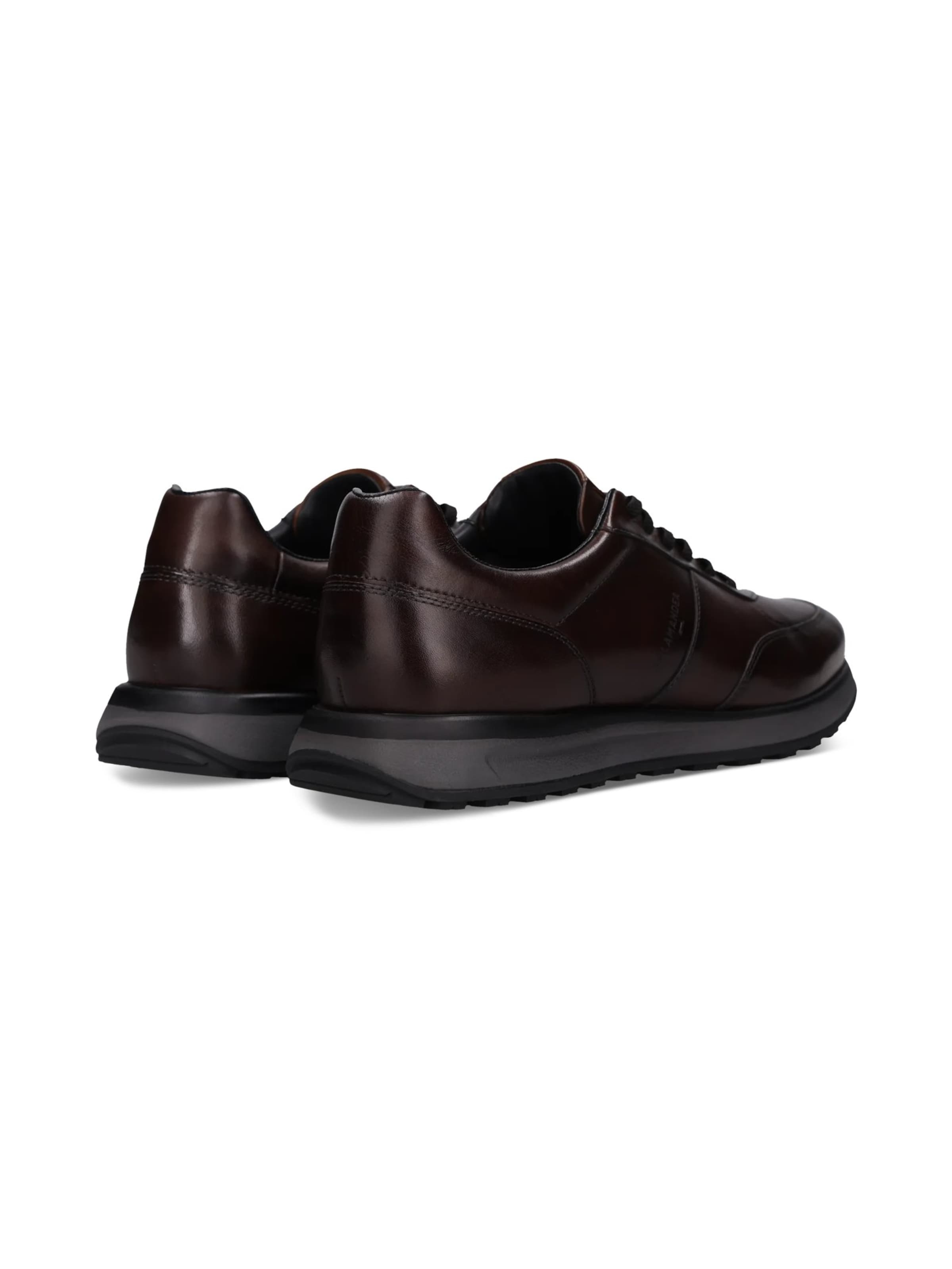 SALAMANDER - Zapatillas deportivas bajas en marrón