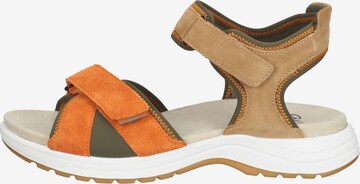 ARA Strap Sandals in Brown