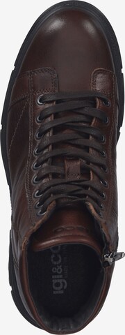 IGI&CO Lace-Up Shoes in Brown