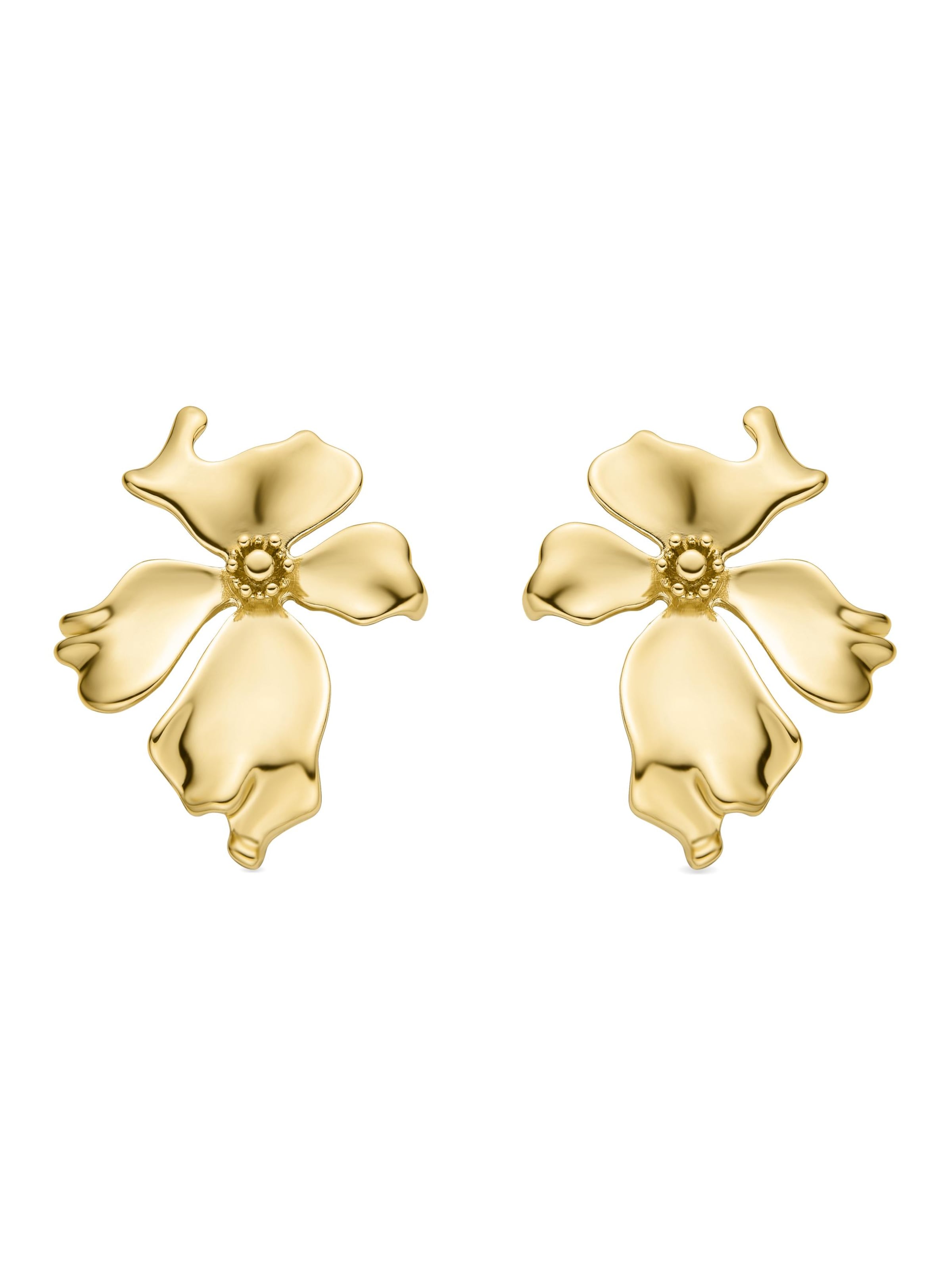 Luxenter Ohrringe 'Haiqua'‌‌‌‌‌‌‌‌‌ in Gold: Vorderseite