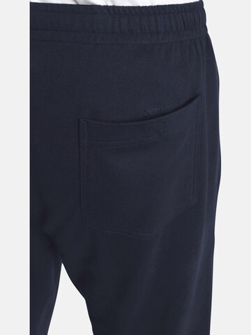 Jan Vanderstorm Regular Pants 'Narve' in Blue