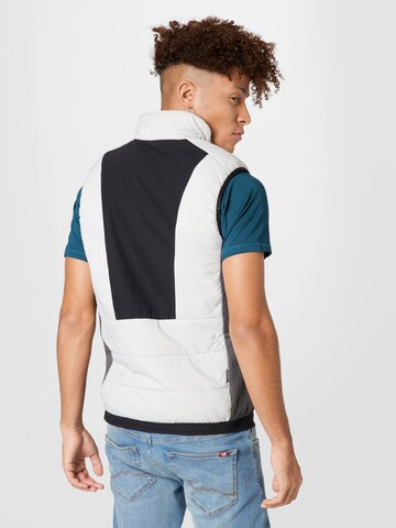 Gilet sportivo 'Davis' di ICEPEAK in grigio