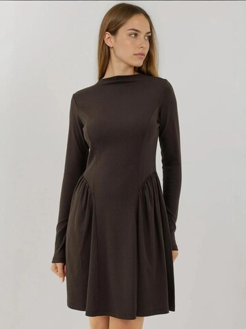 Hiccup Dress in Brown