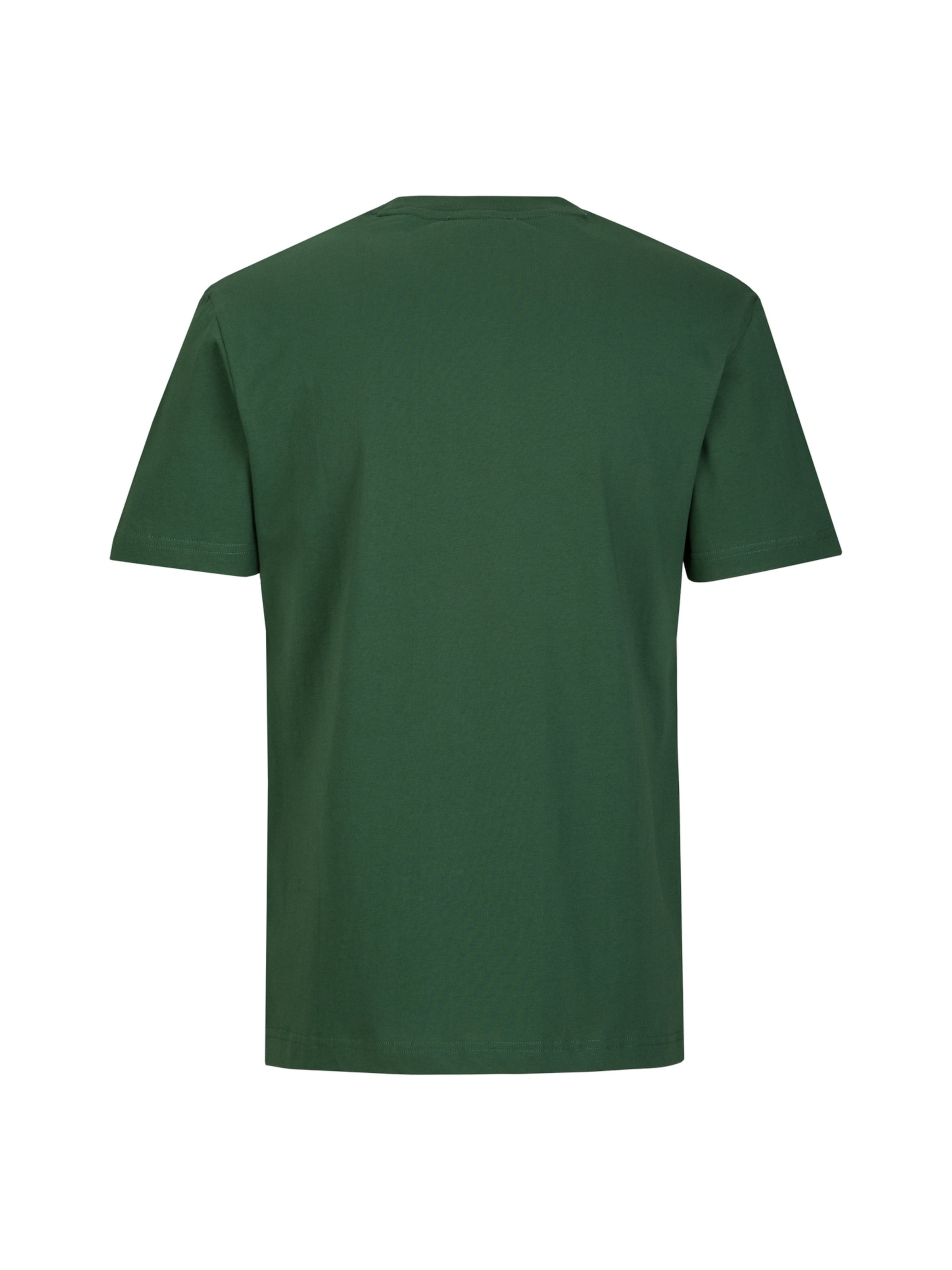 19V69 ITALIA Tričko 'Rafael Carrier 5' - Zelená