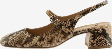 Escarpins à bride arrière 'Lilian' Högl en marron : devant