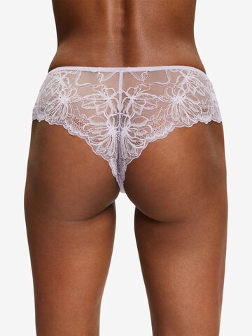 ESPRIT Panty in Lila