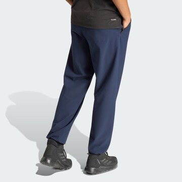 ADIDAS TERREX Regular Outdoor Pants 'Multi Liteflex' in Blue