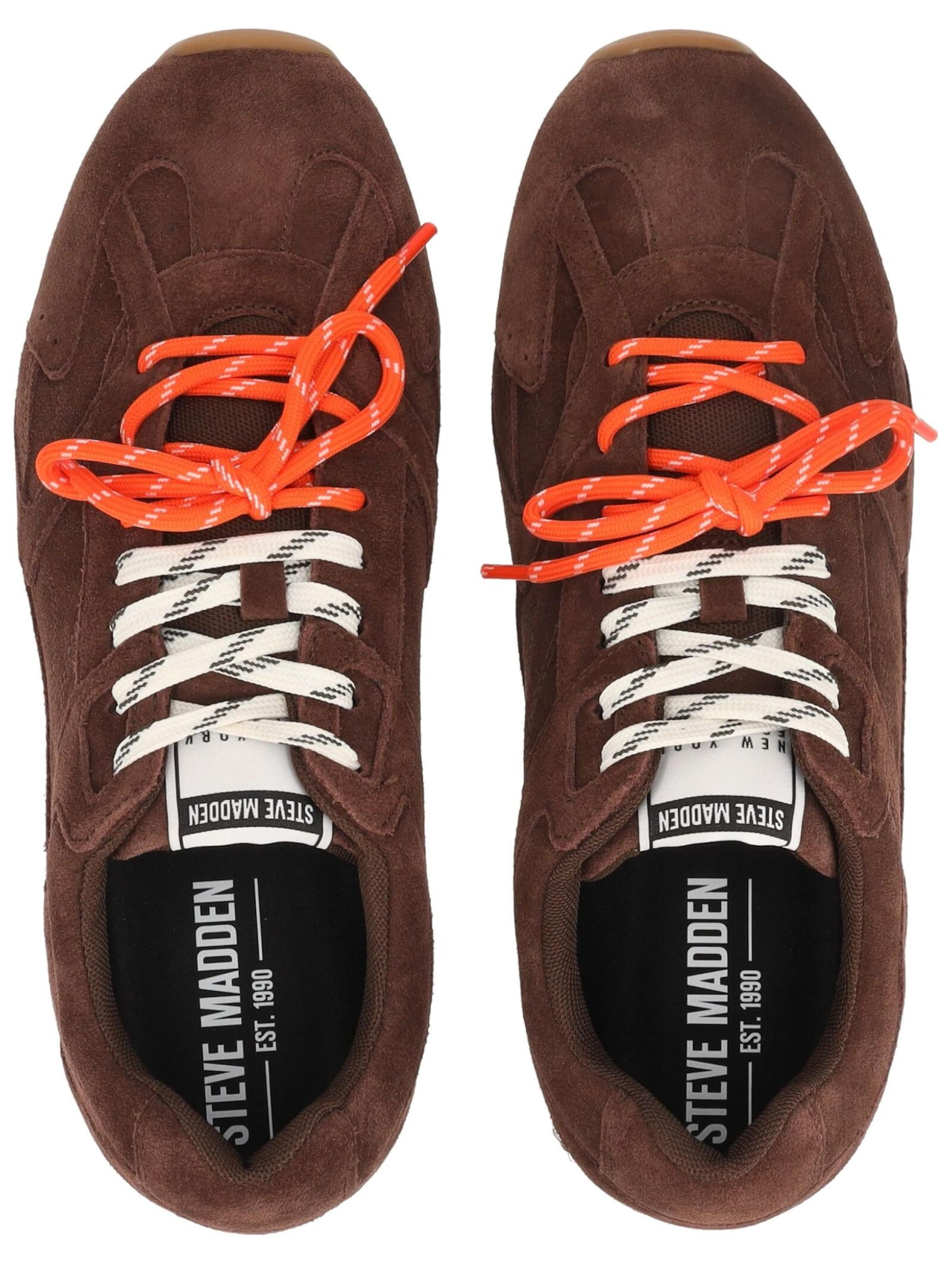 STEVE MADDEN Platform trainers in Brown