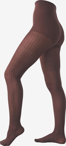 Collants Next en marron : devant