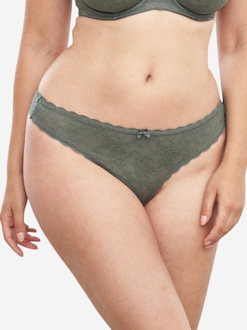 SugarShape Thong 'Sienna' in Green: front