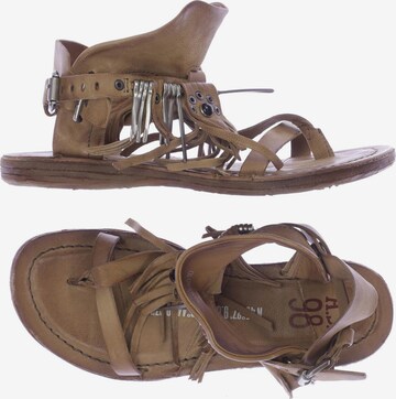 A.S.98 Sandals & High-Heeled Sandals in 35 in Brown: front