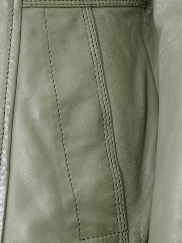 Jilani Tussenjas 'Kaja' in Groen
