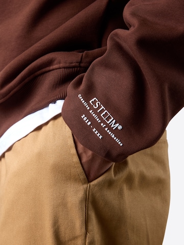 Felpa ' Leo Aesthetics Oversized Halfzip ' di ESTEEM in marrone