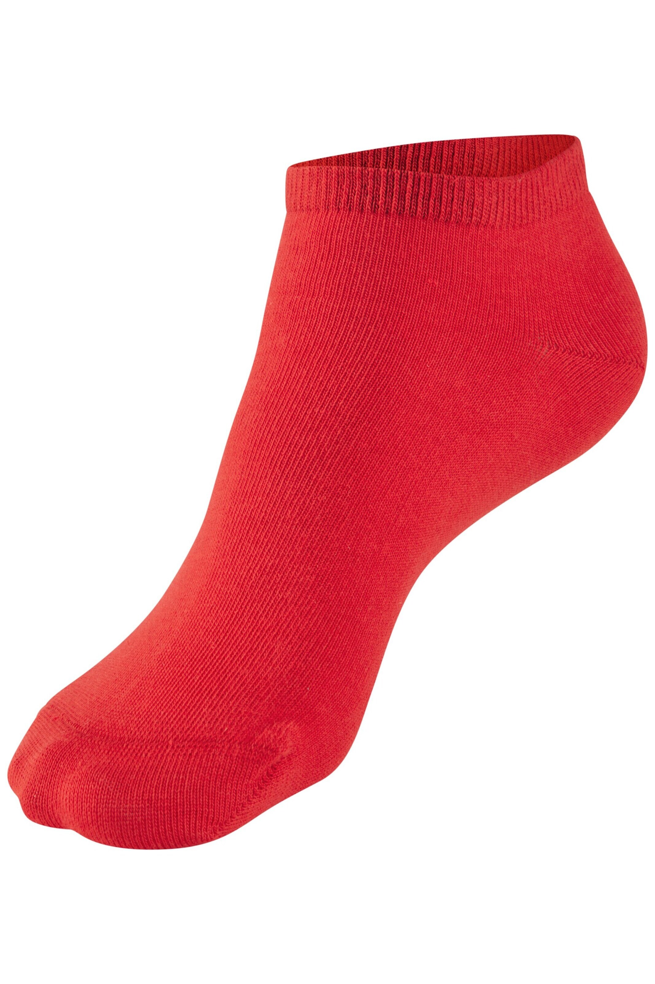 H.I.S Socks in Beige