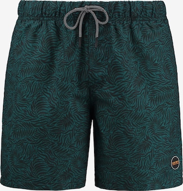 Shiwi Board Shorts in Blue: front