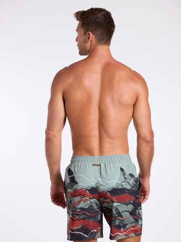 wavebreaker Board Shorts in Green