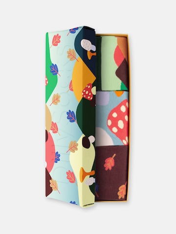Chaussettes 'Fall Wonders' DillySocks en mélange de couleurs
