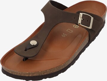 ROHDE T-Bar Sandals in Brown: front